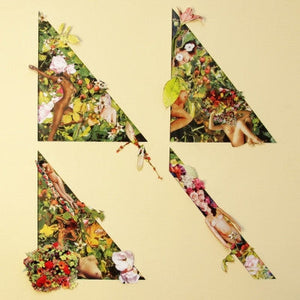 Born Ruffians - B-Sides & Acoustics (Gold) (Used LP)