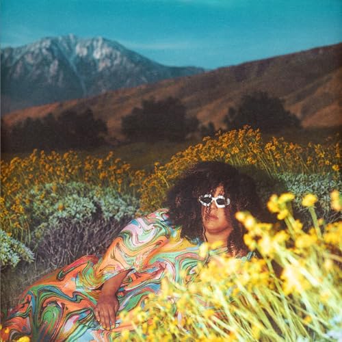 BRITTANY HOWARD - WHAT NOW (CD)