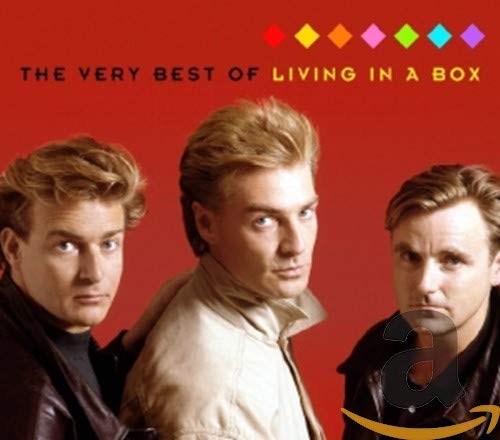 LIVING IN A BOX - VERY BEST OF (2CD) (CD)