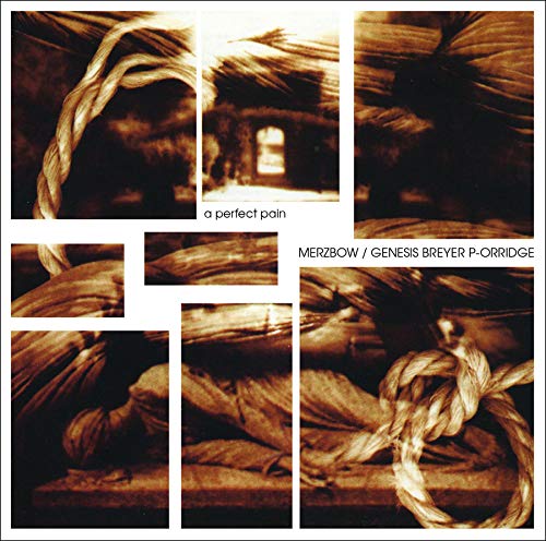 MERZBOW / GENESIS BREYER P-ORRIDGE - A PERFECT PAIN (VINYL)
