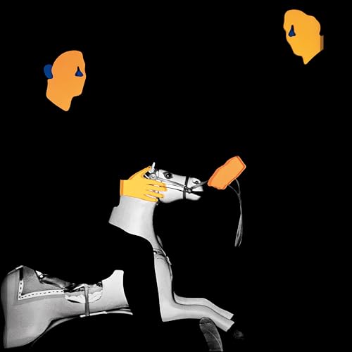MGMT - LOSS OF LIFE (VINYL)