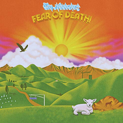 TIM HEIDECKER - FEAR OF DEATH (CD)