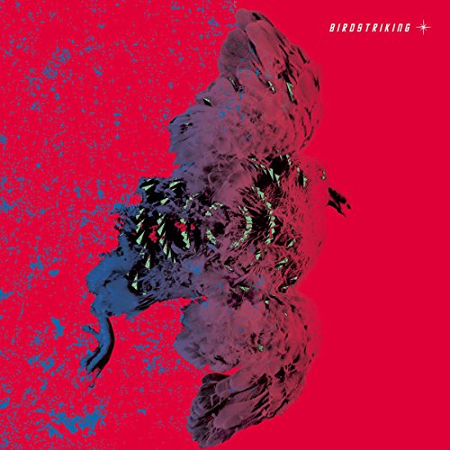 BIRDSTRIKING - BIRDSTRIKING (CD)