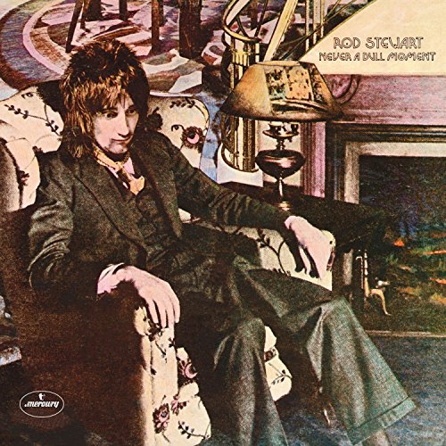 STEWART, ROD - NEVER A DULL MOMENT (VINYL)