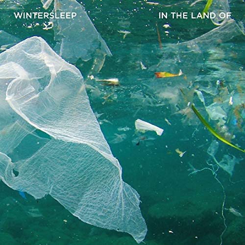 WINTERSLEEP  - IN THE LAND OF