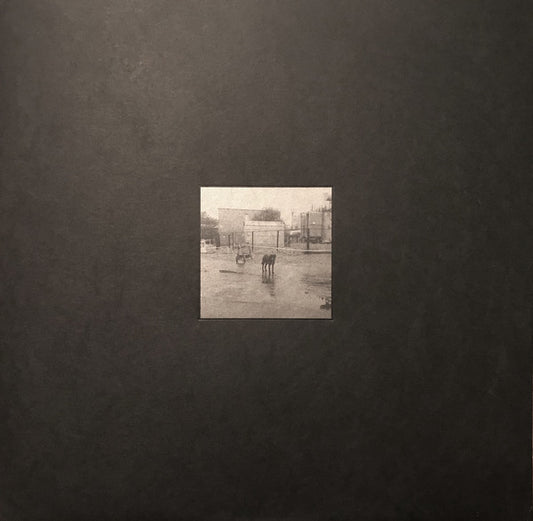 Nivhek ‎– After Its Own Death / Walking In A Spiral Towards The House (Used LP)