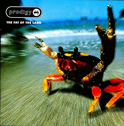 PRODIGY - FAT OF THE LAND (CD)