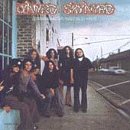 LYNYRD SKYNYRD - LEN NERD SKIN NERD (CD)